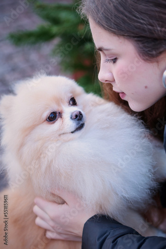 Spitz dog and a young girl on the background of the Christmas tree