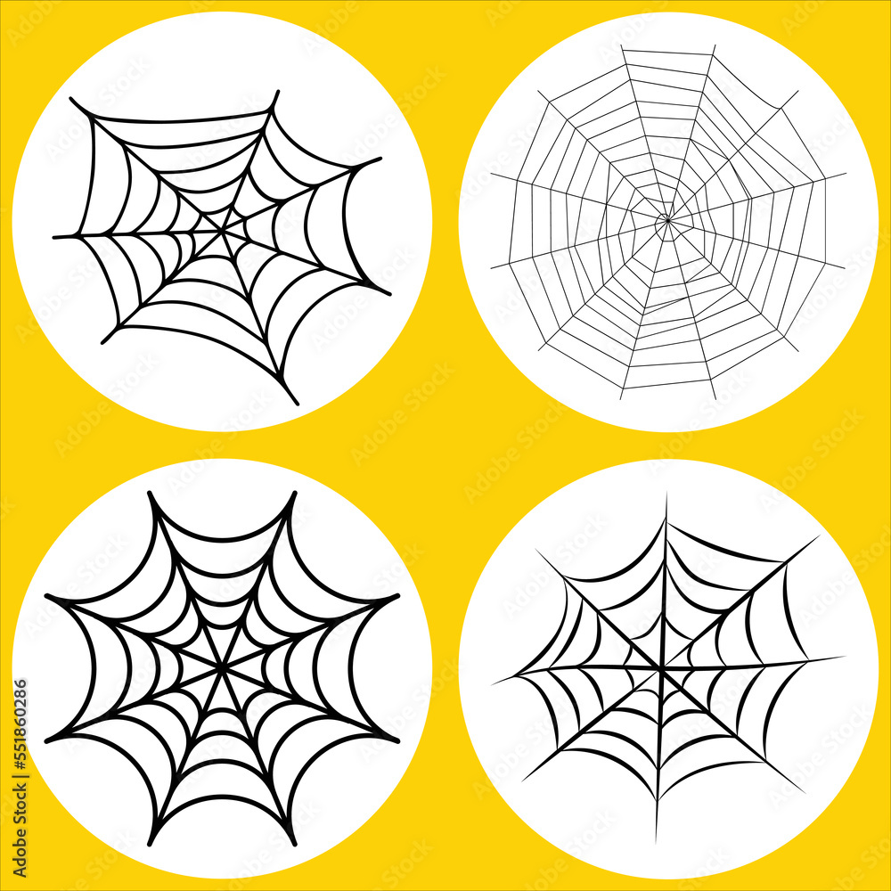 Fototapeta premium Spider web