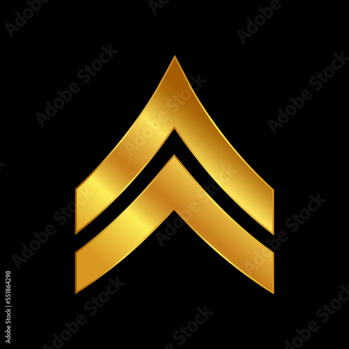 gold military ranks vector icon