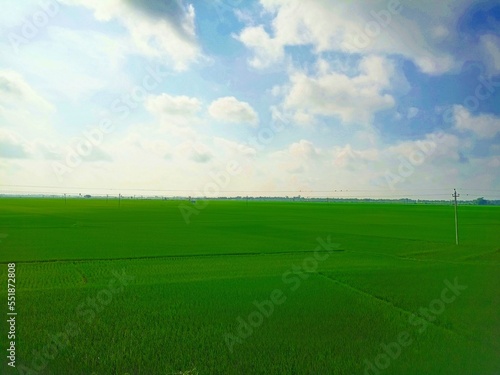 green field and blue sky © ARIJIT'S ALBUM