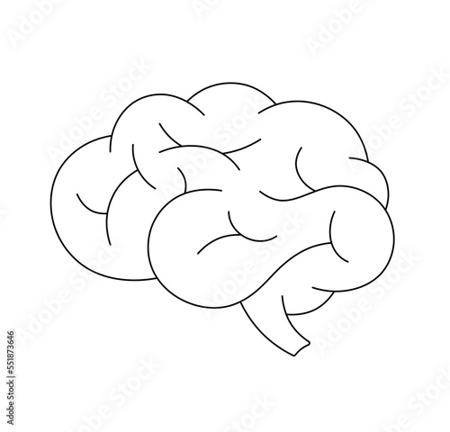 Vector isolated small simple minimal human brains with convolutions colorless black and white contour line easy drawing