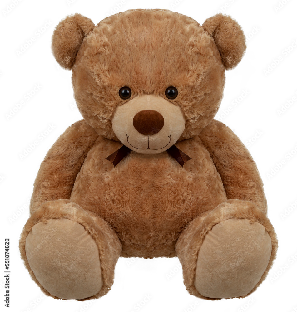 Teddy bear seated on white background. Teddy bear seated on white background.