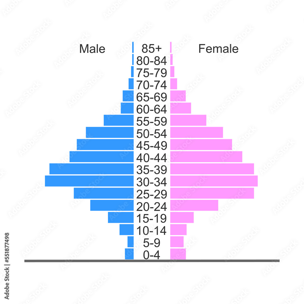 Population pyramid. Age structure diagram template. Example of population  distribution by male and female groups with different age Stock Vector