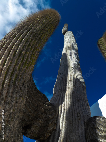 sagrada familia