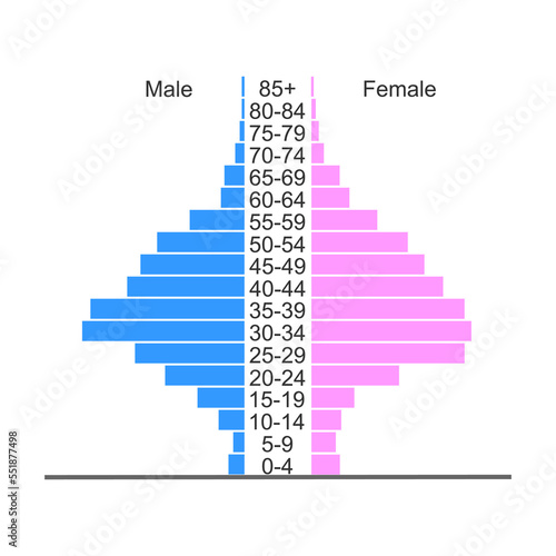 Population pyramid. Age structure diagram template. Example of population distribution by male and female groups with different age