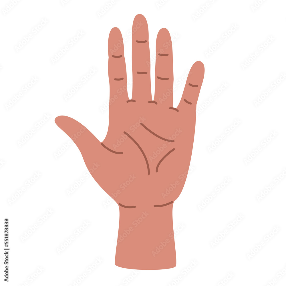 Illustration of a palm in a flat style. Hand element. Illustration of a palm in a flat style. Hand element.