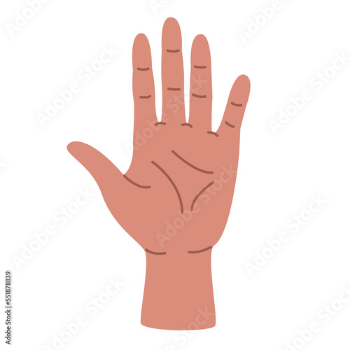 Illustration of a palm in a flat style. Hand element.
