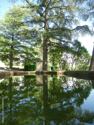 reflection in water