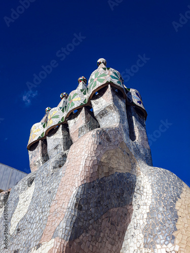 the roof of the castle