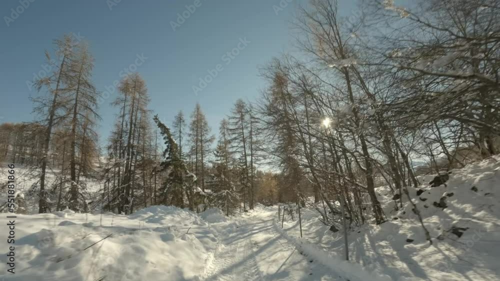 Driving down a country road covered in fresh snow Driving down a country road covered in fresh snow