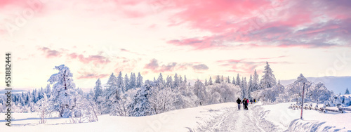 Winterspaziergang im Schwarzwald, Deutschland 