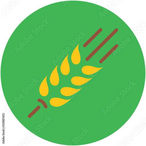 Barley 