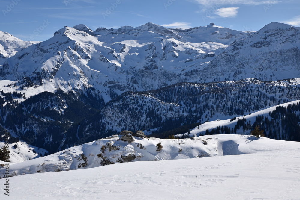 Forêts et pics enneigés de l'Oberland bernois. Suisse