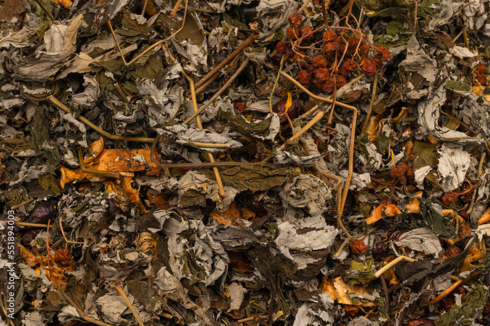 Dry tea leaves as a background. Dry tea leaves as a background.
