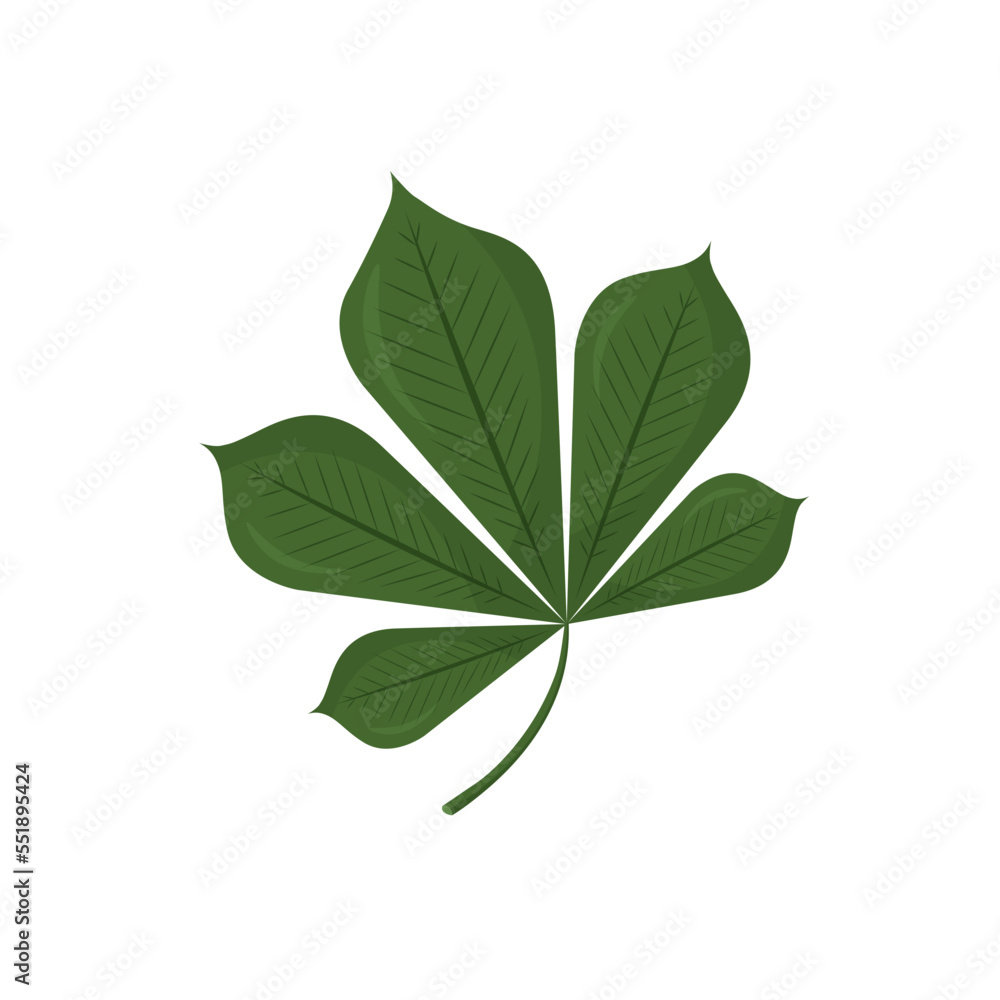 Fototapeta premium Chestnut leaves in a trendy flat style. Vector illustration isolated on white background.