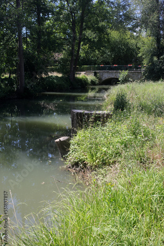 Le petit morin river - Bridge at Promenade Pierre Mac Orland - Saint-Cyr-sur-Morin -  Seine-et-Marne - Île-de-France - France photo