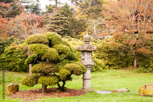 japanesse garden in autumn photo