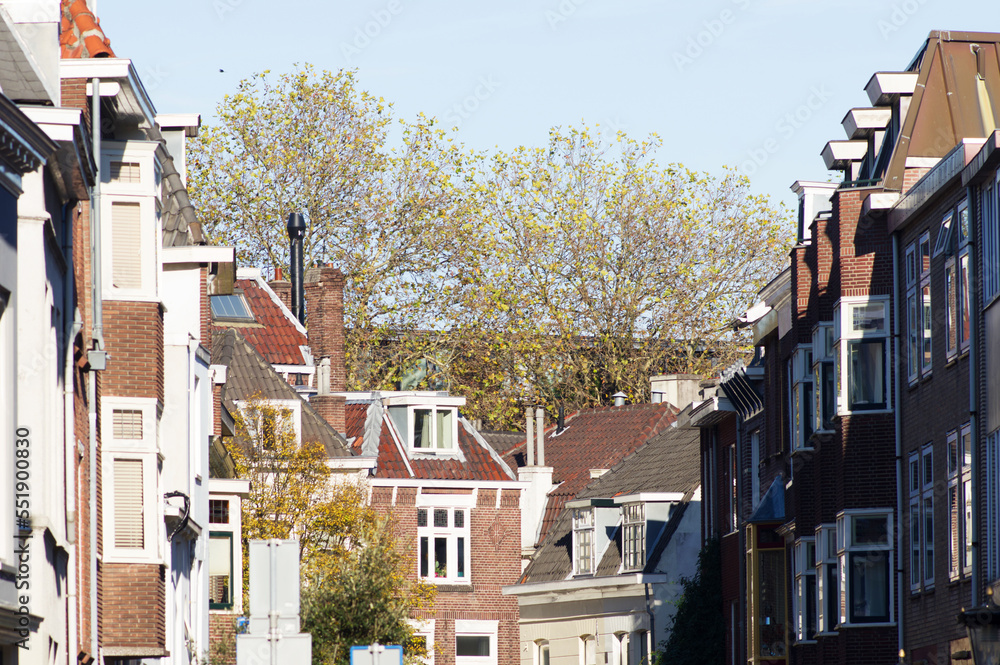 The facades and red and brown roofs of many houses in the Netherlands