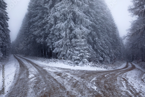 ground frozen road in winter forest