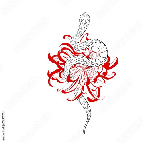 Snake and red chrysanthemum flower detailed tattoo sketch