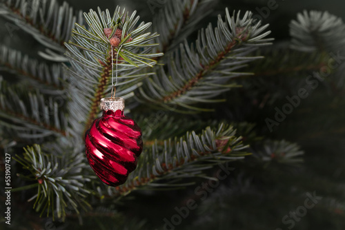 Wallpaper Mural a Christmas red toy on the branch of the Christmas tree. close-up. new year's background Torontodigital.ca