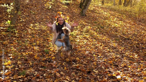 Wallpaper Mural A happy smiling woman walks and plays with her dog in the autumn forest, she throws leaves and the dog catches them. Torontodigital.ca
