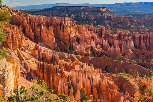 Bryce Canyon in early morning light.