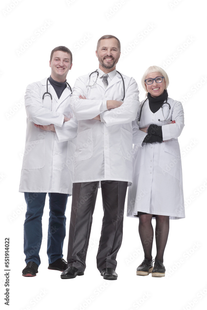 in full growth. group of qualified medical colleagues. in full growth. group of qualified medical colleagues.