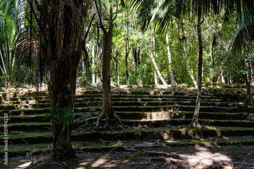 Ancient Pyramid in Mayan Village of Chacchoben  Mexico