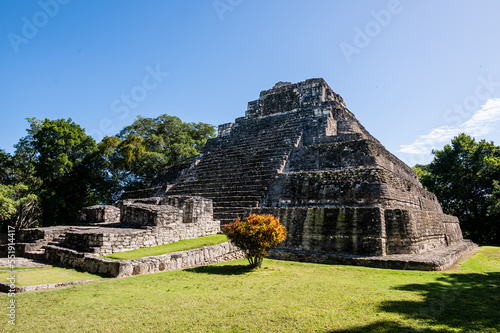 Ancient Pyramid in Chacchoben Mayan Site, Mexico photo