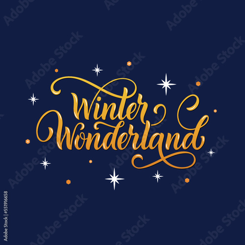 Winter Wonderland handwritten text with stars and snowflakes. Hand lettering typography. Modern brush ink calligraphy. Vector illustration as greeting card, banner, poster, logo. Season's greeting