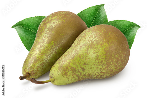 Green conference pear isolated on white background with full depth of field