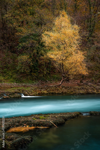 Fototapeta Naklejka Na Ścianę i Meble -  river in autumn