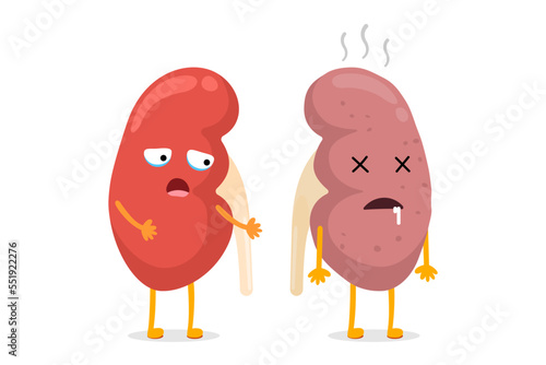 Kidneys characters healthy and unhealthy comparison. Human kidney good and bad condition. Cartoon genitourinary system internal organ mascot scared and illness sad. Strong and damaged insides. Vector