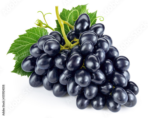 Black grape isolated. Fresh dark blue grape with leaves  on white background. Full depth of field.