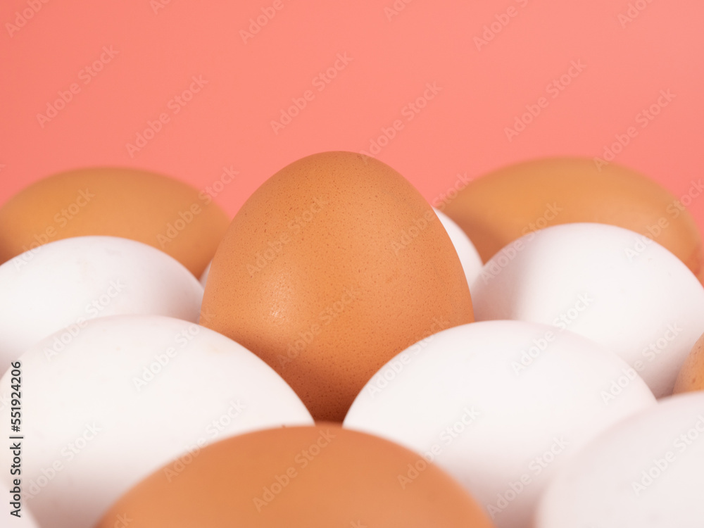 Chicken eggs on a pink background. White and brown egg on a pink background.