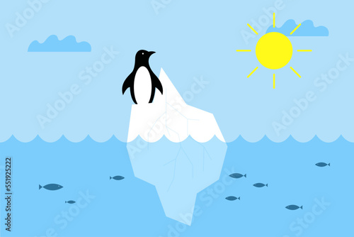 Animals are losing their homes. The global problem with sea level rise