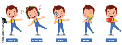 Five Senses Concept With Human Organs