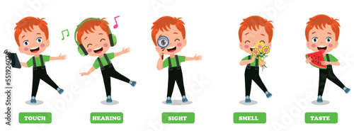 Five Senses Concept With Human Organs