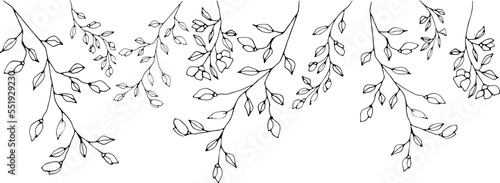 Border of graphic vector plant branches with flowers. buds and berries
