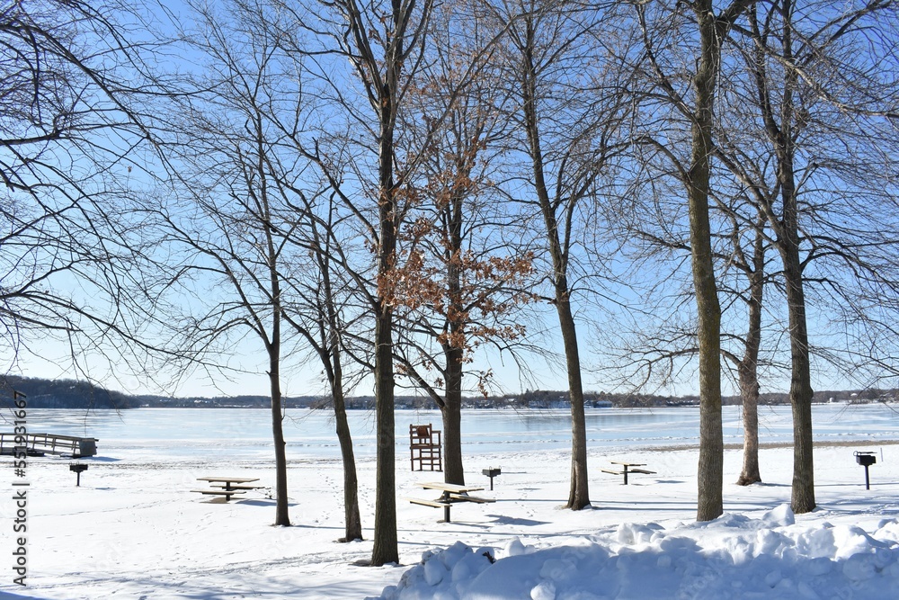 Leafless Trees by a Snowy Minnesota Lake Shore