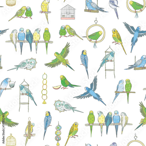Budgerigar bird vector seamless pattern.