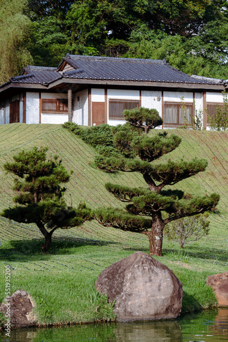 Fototapeta Naklejka Na Ścianę i Meble -  japanese garden, park of the japan in Maringá city 