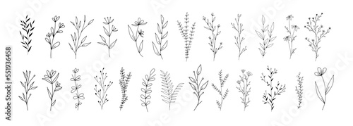 Set of botanical line art floral leaves, plants. Hand drawn sketch branches isolated on white background. Vector illustration	
