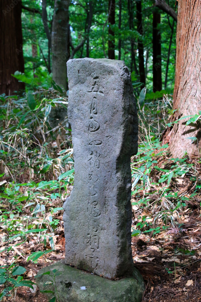 Obraz premium 羽黒山