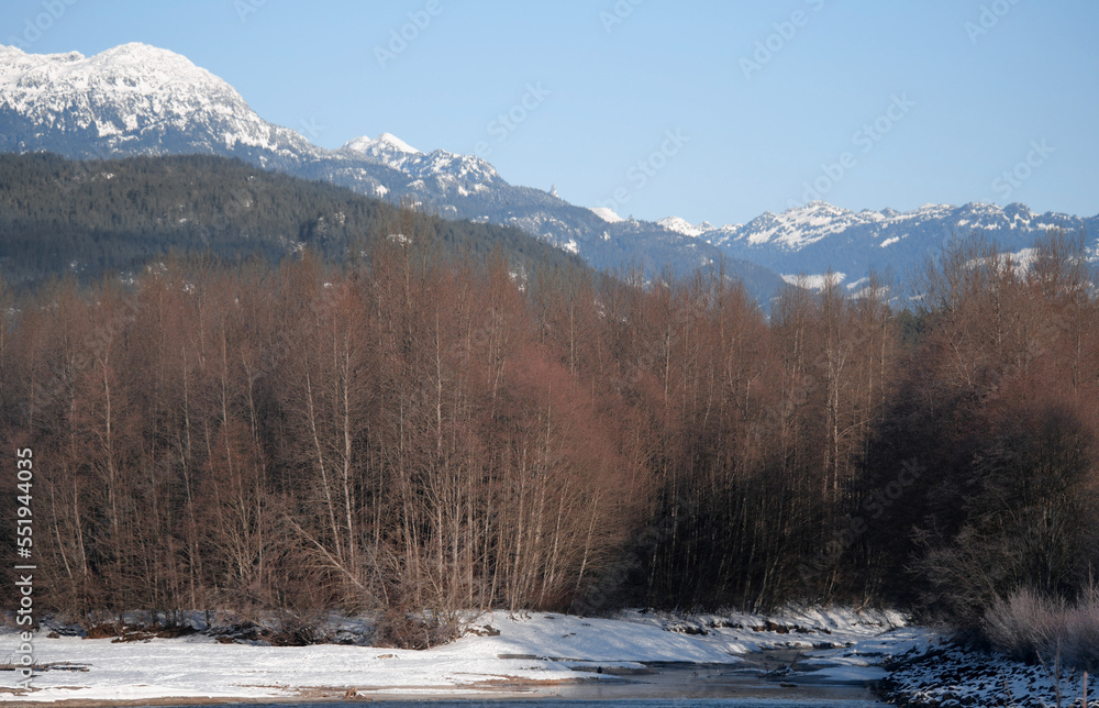 Winter landscape of the Eagle Run dike in Brackendale, Squamish, British Columbia, Canada Winter landscape of the Eagle Run dike in Brackendale, Squamish, British Columbia, Canada