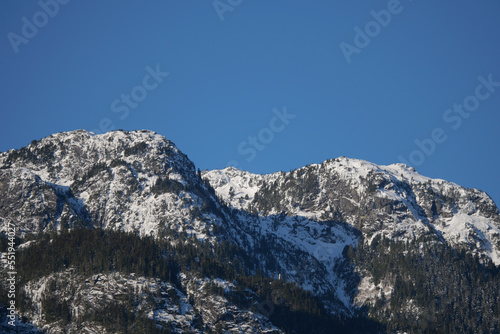 Winter landscape of the Eagle Run dike in Brackendale  Squamish  British Columbia  Canada