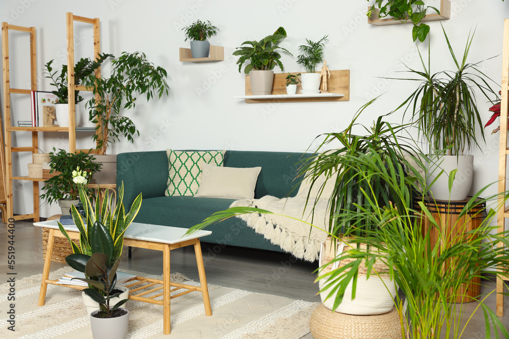 Fototapeta premium Living room interior with beautiful different potted green plants and furniture. House decor