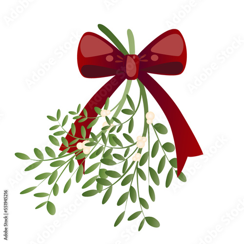 Christmas Holiday Mistletoe vector illustration graphic photo