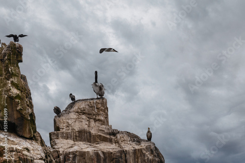 Rock peaks make a resting place for seabirds, under a cloudy sky.